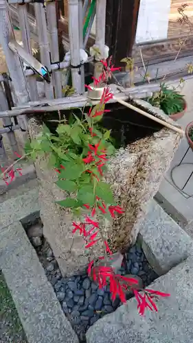 普門寺の手水舎
