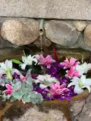 生田神社の手水