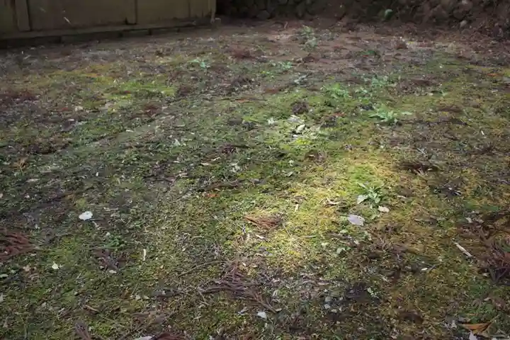 野々宮神社の自然