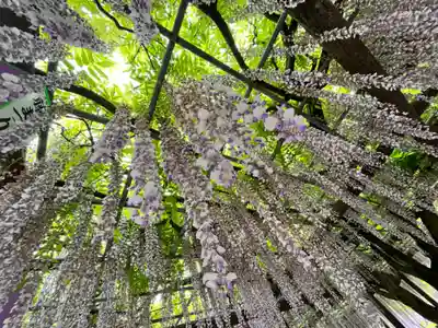 宮目神社（玉敷神社　境内社）(埼玉県)