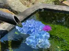 国宝 大法寺の手水