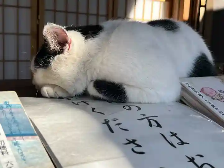 賀茂別雷神社(栃木県)