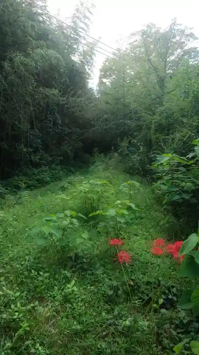 龍宮之宮の自然