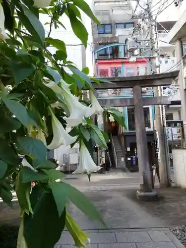 小梳神社の自然