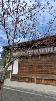 大歳神社(京都府)