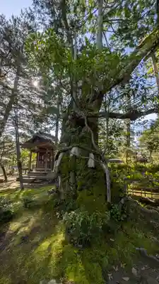 智恩寺(京都府)