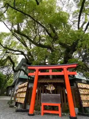 富知六所浅間神社(静岡県)