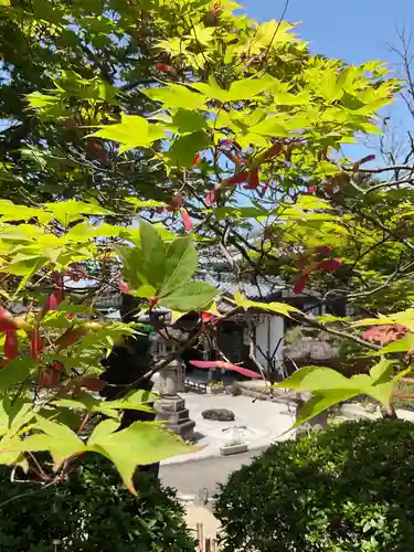 常福寺(愛知県)