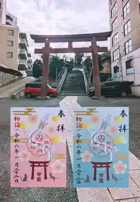 今月は書置きでこちらの2種類のみです😺