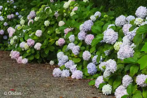 日前神宮・國懸神宮(和歌山県)