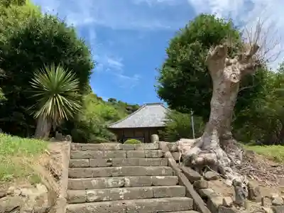 天徳寺のその他建物