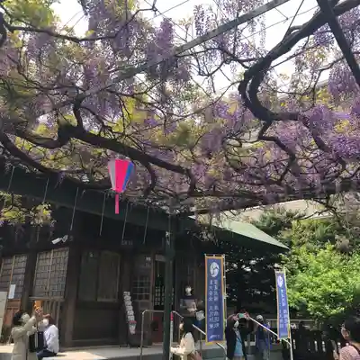 國領神社の本殿・本堂