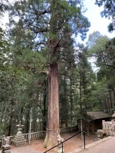 内尾神社(兵庫県)