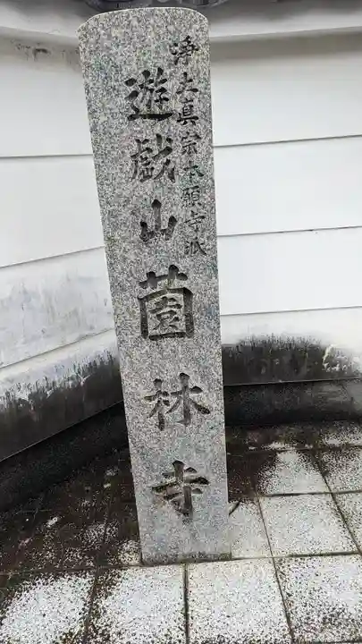 薗林寺(京都府)