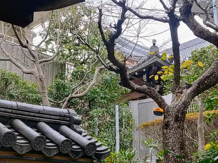 宝泉院の本殿・本堂