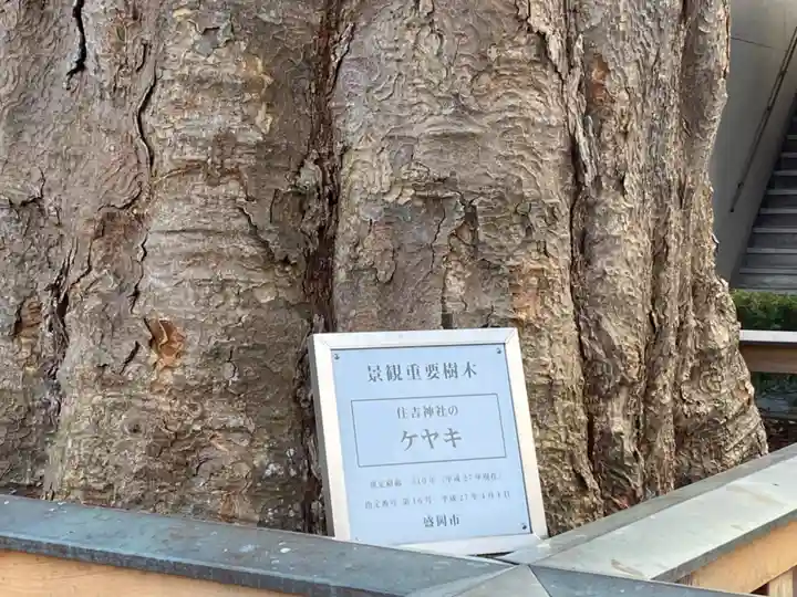 住吉神社の自然