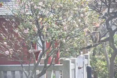 亀戸天神社の庭園