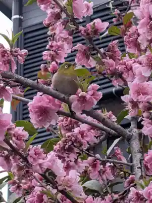 鶴ヶ峰稲荷神社(神奈川県)