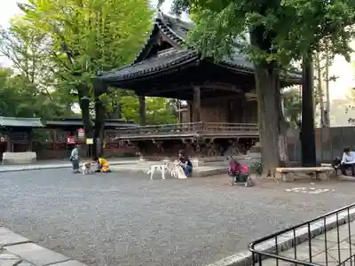 根津神社(東京都)