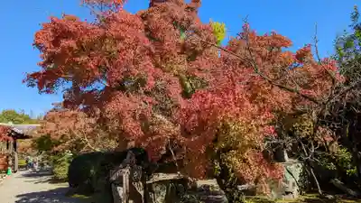 勧修寺(京都府)