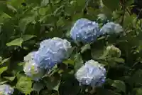 国宝 大法寺の自然