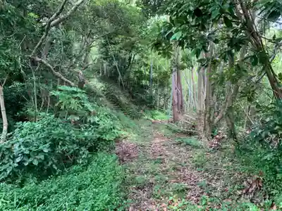稲荷神社の自然