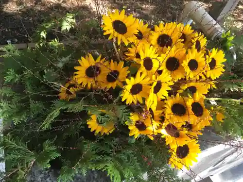 錦山天満宮の手水舎