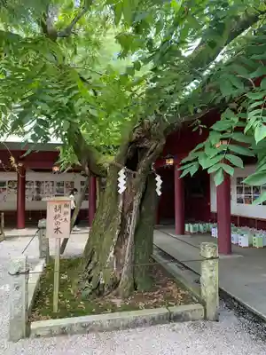 笠間稲荷神社(茨城県)