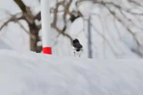 竹之高地不動社(新潟県)