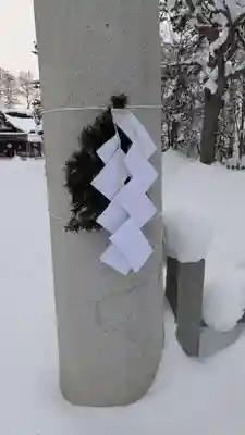 鷹栖神社の初詣