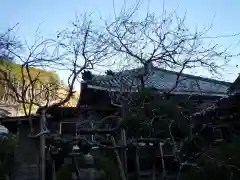 長楽寺の建物その他