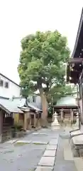 隅田稲荷神社の建物その他