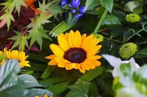 東海市熊野神社の手水舎