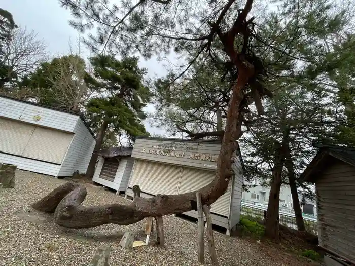 有川大神宮の建物その他