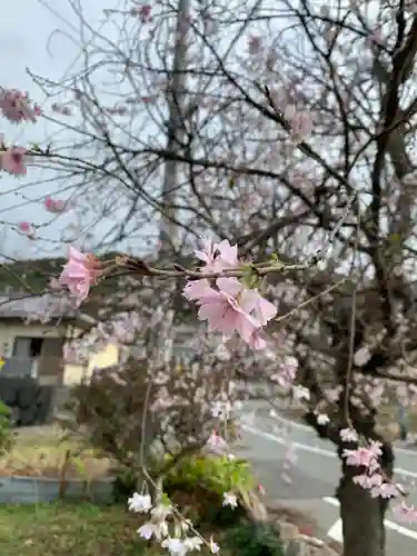 日本神社(埼玉県)