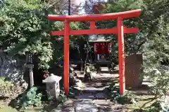 愛宕神社の鳥居