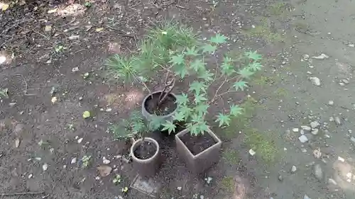 帯廣神社の庭園