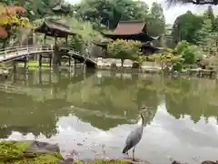 永保寺の庭園