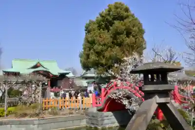 亀戸天神社のその他建物