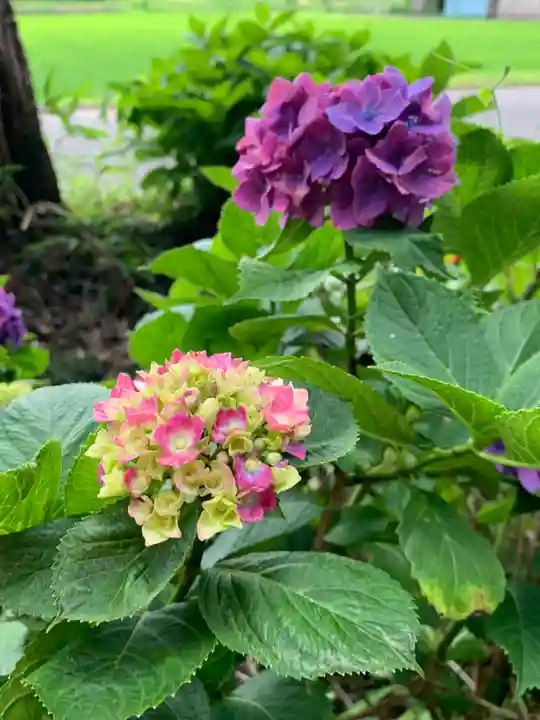 磯山神社の自然