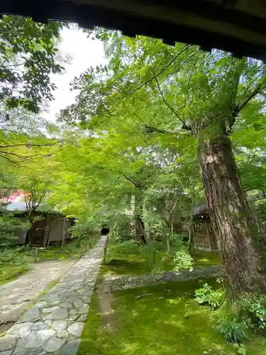 蓮華寺（洛北蓮華寺）のその他建物