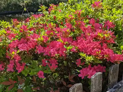 六孫王神社(京都府)