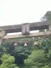 白山比咩神社の鳥居