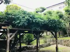 御釜神社の庭園