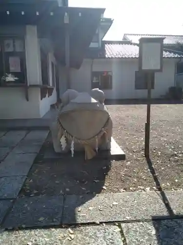 別雷皇太神の狛犬