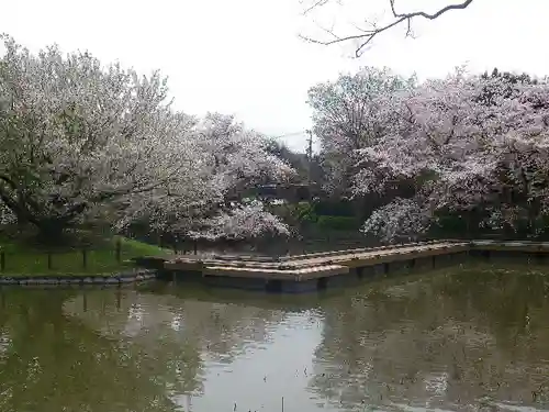 鶴岡八幡宮の庭園