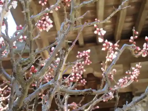 極楽寺（霊鷲山感應院極楽律寺）のその他建物