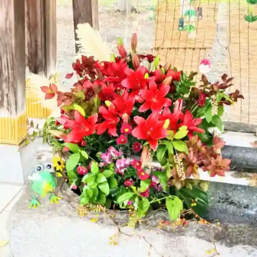 彌彦神社　(伊夜日子神社)(北海道)