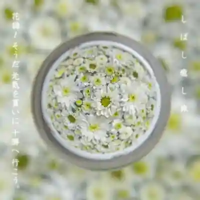 帯廣神社(北海道)