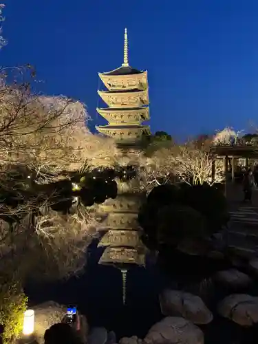 東寺（教王護国寺）(京都府)
